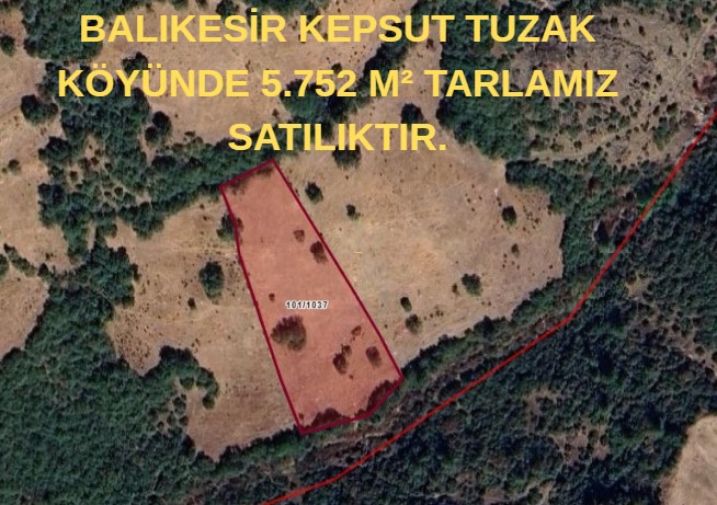 BALIKESİR KEPSUT TUZAK KÖYÜNDE 5.752 M² TARLAMIZ SATILIKTIR. - BALIKESİR KEPSUT fotoğraf 4